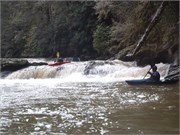 Spring Creek 19